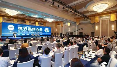 “2021中国500最具价值品牌”发布：海尔高居第三，青啤连续18年行业领跑