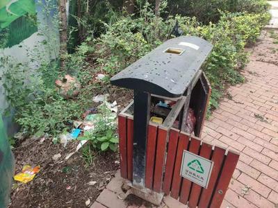 回头看：垃圾清理不及时、空地被圈占种菜……城阳区市民运动公园现卫生死角