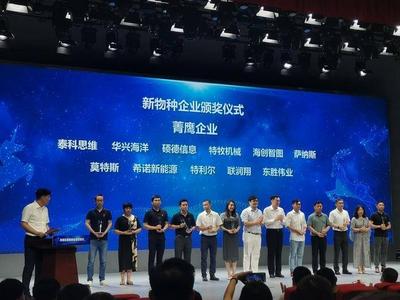 市南区发布首批58家新物种企业榜单，80%以上为科技型企业