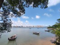 今天的青岛，随手一拍就是大片