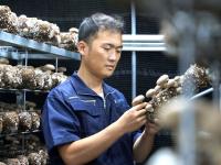 香菇种植也能智能化？产能2万吨的园区原来长这样