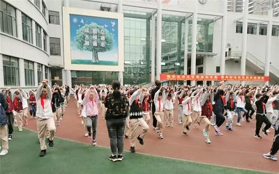 寻标对标，深耕课堂｜青岛大枣园小学开展寻标对标活动