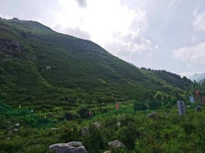 16名登山者违法擅闯自然保护区，每人罚款5000元