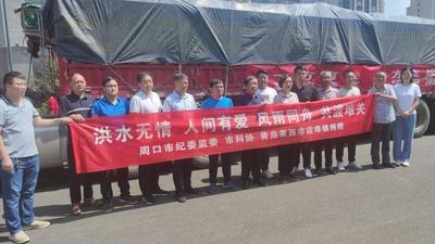 一夜疾驰800公里，32吨爱心胡萝卜彰显鲁豫情深