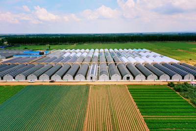 香菇种植也能智能化？产能2万吨的园区原来长这样