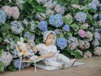 是夏天的味道！这里有大片绣球花正在盛放|云游青岛