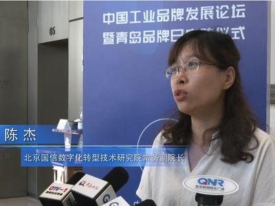 陈杰：出台指导意见、树立行业标杆……数字化与质量管理要融合推进