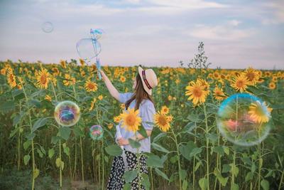 500亩的向日葵花海，你见过吗？|云游青岛