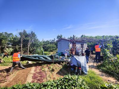 20余亩菜地被清！浮山北麓开展“集中攻坚”整治