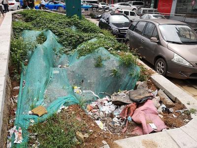 记者在现场|路旁空地成卫生死角  市民期待快清理