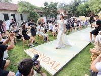 实拍市南“庭院婚礼”婚纱秀，这个花园今夏很浪漫