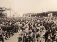 一幅图穿越123年前！《前世青岛》老照片展启幕，看德国人镜头里的胶澳租借地风貌