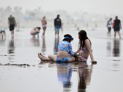 罕见极端高温席卷美加西部局地，热浪致数百人丧生