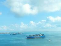 今天的青岛，随手一拍就是大片