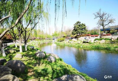 这两条河入海口断面水质实现大跃升！这个区强化流域综合治理，力促水环境质量迅速攀升