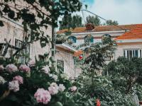 凌霄花开的路口！在老城区寻找夏日电影感|云游青岛