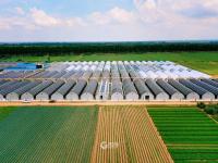 香菇种植也能智能化？产能2万吨的园区原来长这样