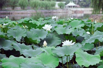 打造“浸润式”就业教育环境，青岛城市学院有“暖招”！