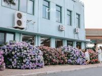 是夏天的味道！这里有大片绣球花正在盛放|云游青岛