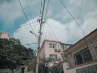 凌霄花开的路口！在老城区寻找夏日电影感|云游青岛