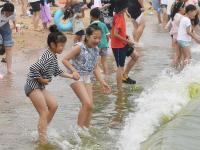 一浴实拍：数万人海边“下饺子” 萌娃抢镜