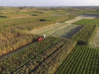 联合国报告：2020年全球约十分之一人口食物不足，其中亚洲4.18亿人