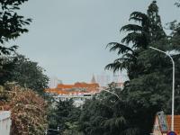 凌霄花开的路口！在老城区寻找夏日电影感|云游青岛