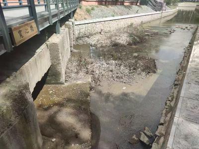 记者在现场|公园水体浑浊 市民急盼治理