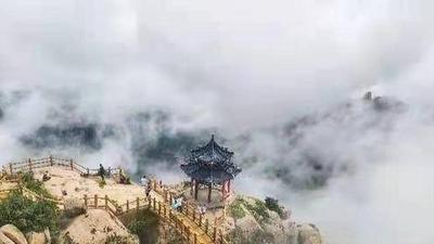 美不胜收！崂山巨峰云海观赏季来了