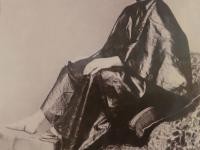 一幅图穿越123年前！《前世青岛》老照片展启幕，看德国人镜头里的胶澳租借地风貌