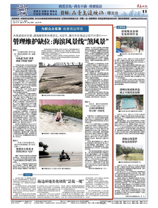 曝光台 | 木栈道损坏失修，濒海雕塑旁环境脏乱……海滨风景线“煞风景”