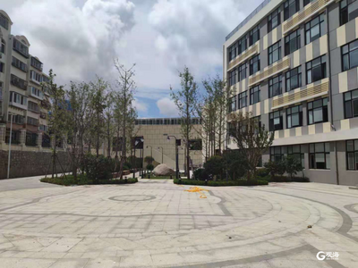 即将投用！市北区浮山后一小区配套中学项目通过竣工验收