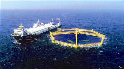 青岛海洋经济：瞄准大项目，卡位关键期 