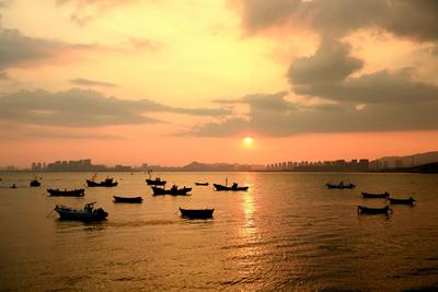 吃货注意！开海在即，来看看初秋的渔港在忙什么