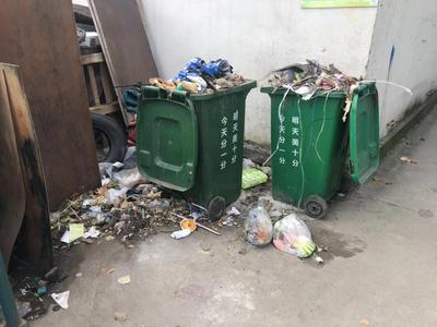 记者在现场|杂物乱堆 垃圾散落 水清沟河畔卫生死角待清理