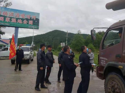 东北虎“完达山一号”再现吉林天桥岭林区，当地启动人虎冲突预案