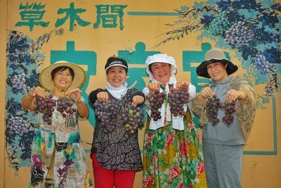 吃完一粒还想再吃！城阳夏庄喜迎葡萄大丰收 | 金秋收获季①