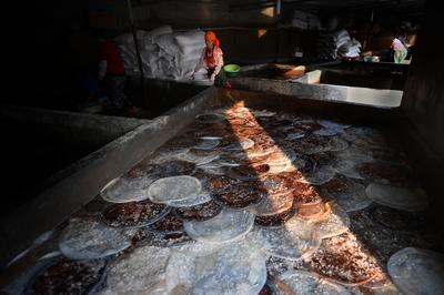 实拍：城阳红岛海蜇丰收季，打捞、分割、盐腌……就差你买回家吃啦！