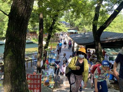 青岛：对红黄码游客采取相应措施，停止前往中高风险地区“机票+酒店”业务