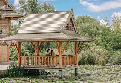 世博园实拍：睡莲盛开，分外美丽|云游青岛