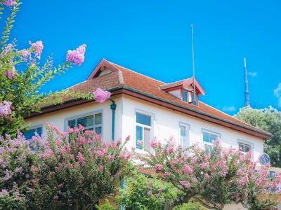 花无百日红？它就叫“百日红”！中山公园的紫薇开啦|云游青岛