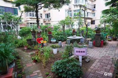 市南湛山街道社区治理“广开言路”，推动城市精细化治理