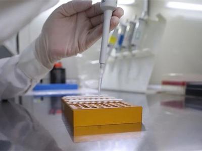 海口8月5日确诊病例传染源头确定：病毒来自俄入境货运航班