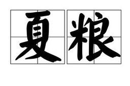 我市夏粮收购突破50万吨