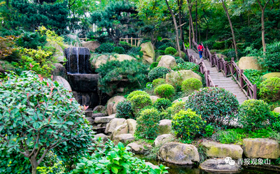 还山于民、还绿于民！明年底前，青岛这60个山头公园要“大变样”！