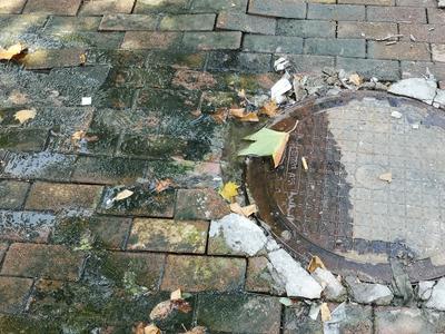 记者在现场|“古力”井冒溢 人行道臭气熏天