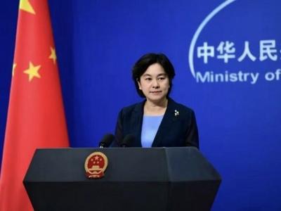 美国、欧盟妄评中国召回驻立陶宛大使，外交部回应