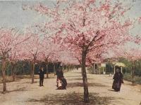 1936年评出的青岛十景，你知道几个？