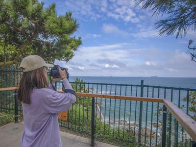 云游青岛：遇见燕岛山公园的“一路繁花”