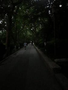 记者在现场| 摸黑游园不便 公园亮灯能否提前半小时 
